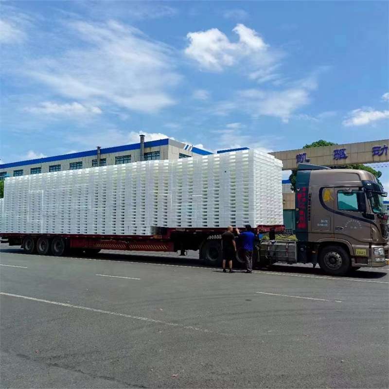 黑龙江佳木斯汤原县到滁州物流公司，专业运输服务为您保驾护航